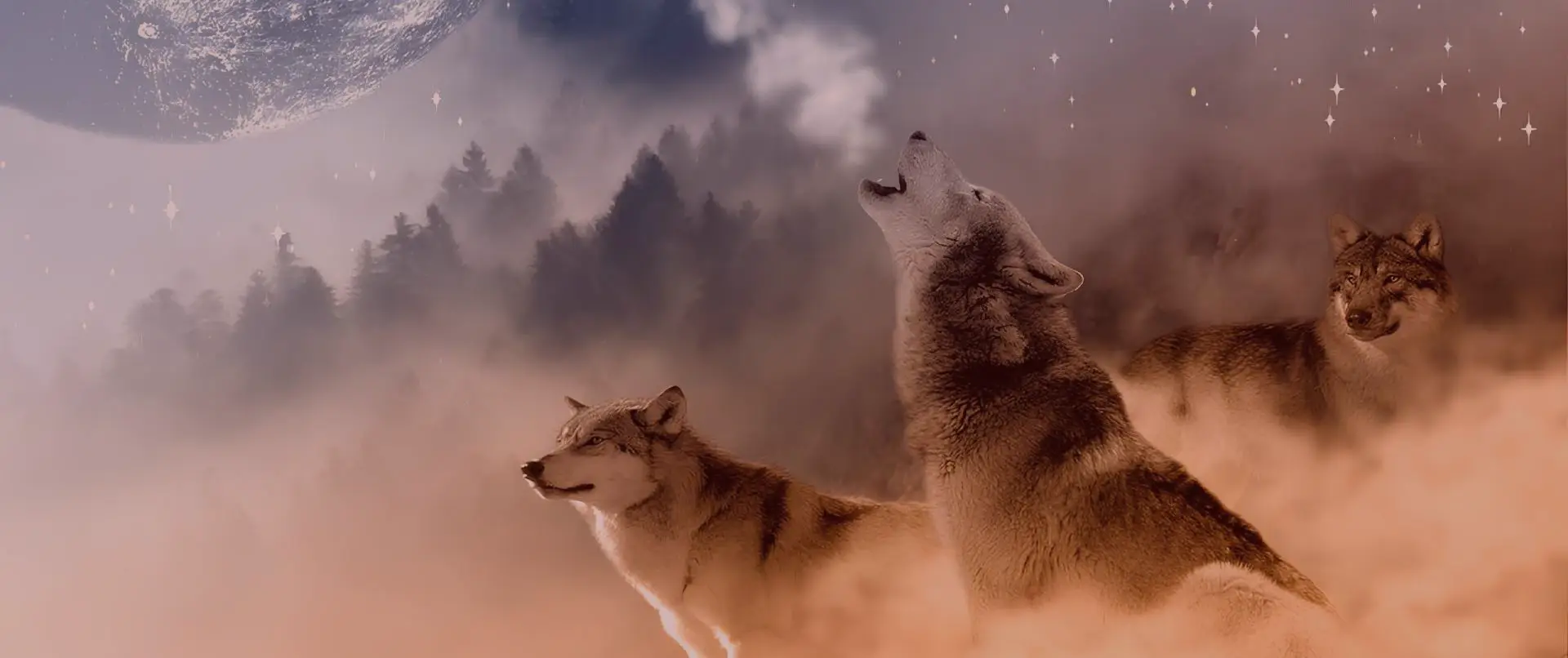 Join The Pack That's Got Your Back